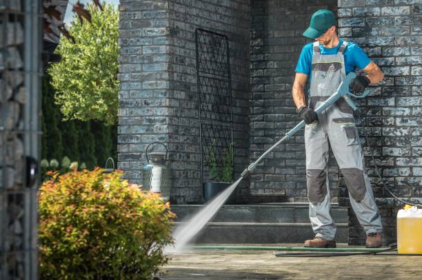 Animal Enclosure Cleaning in Denton, TX